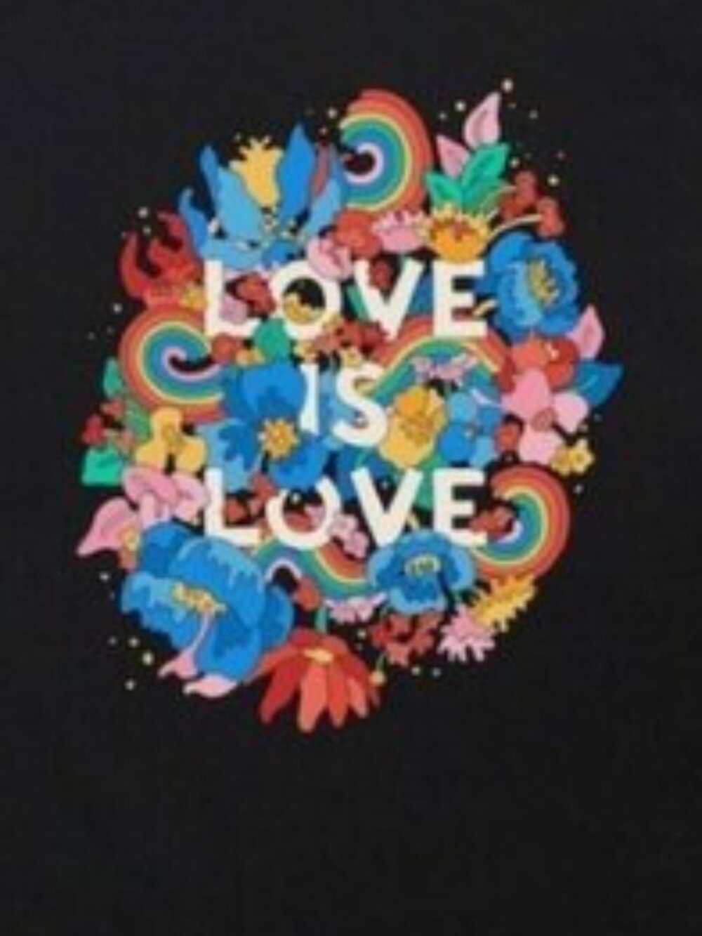 LGBT Shirt, Rainbow Cat Shirt, Pride Shirt, Cat Lovers Shirt - Picture 2 of 3